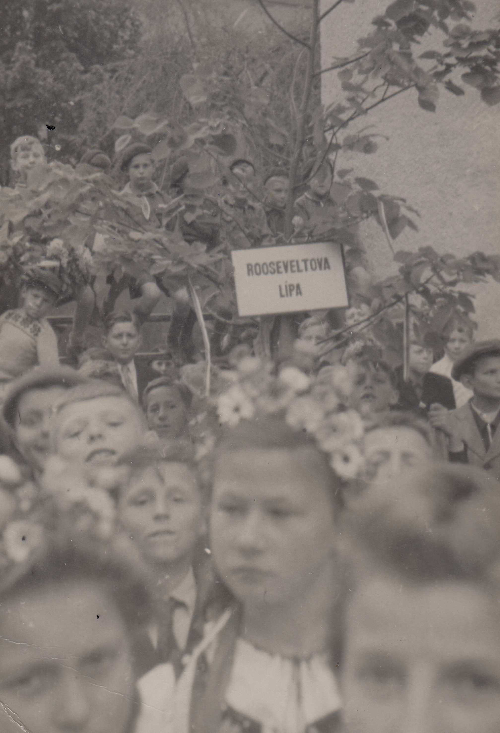 Photos search | Memory of Nations